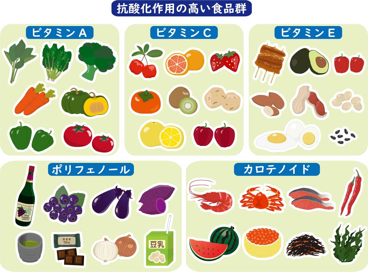 抗酸化作用の強い食品群の図