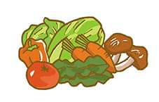 野菜やきのこのイラスト