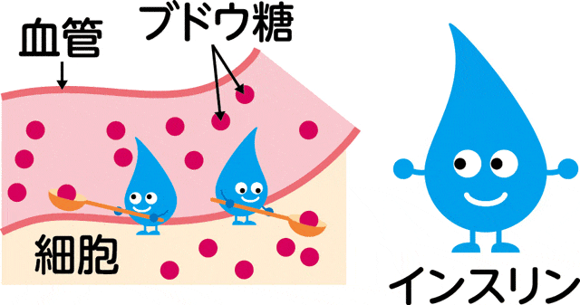 制限すべき食品