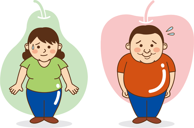 皮下脂肪型肥満（洋ナシ型肥満）と、内臓脂肪型肥満（リンゴ型肥満）のイラスト