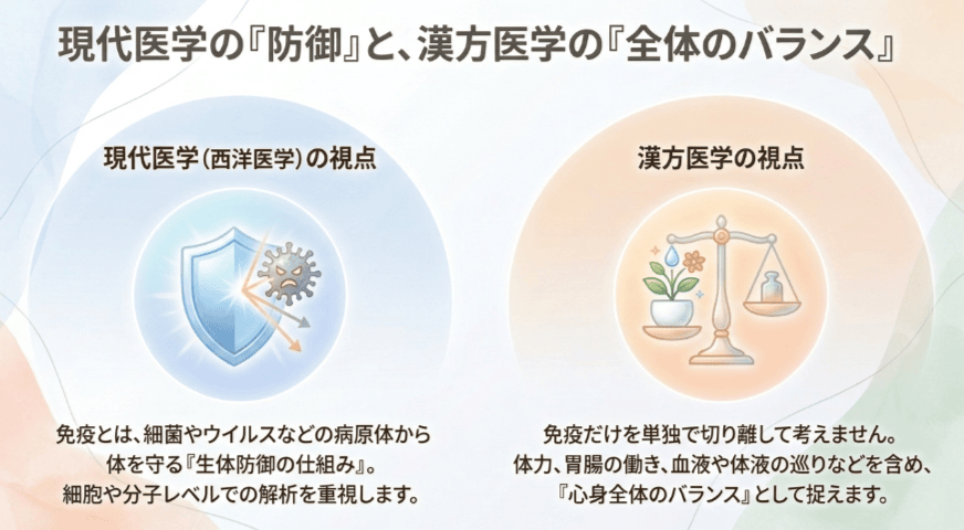 西洋医学と漢方医学違いのイラスト