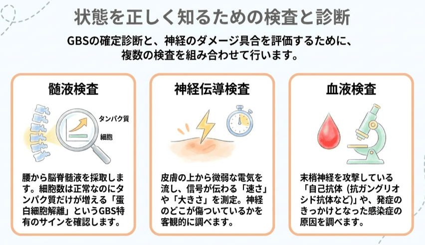 ギラン・バレー症候群の検査と診断のイラスト