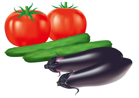 トマト・なす・きゅうりのイラスト